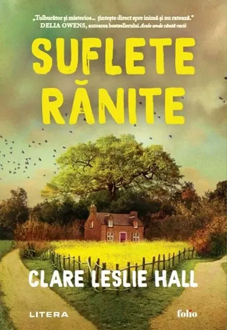 Recenzie la cartea „Suflete rănite”, de Clare Leslie Hall
